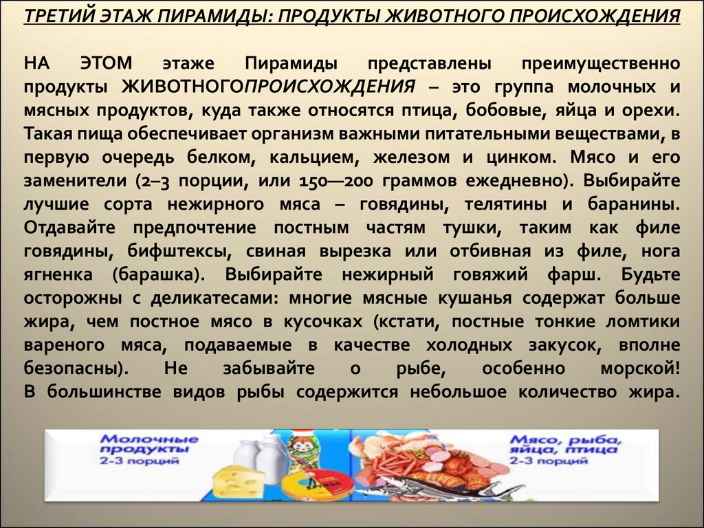 Питание 8 класс. Продукты животного происхождения являются преимущественно. Продукты животного происхождения обеспечивают организм:. Физиология питания 8 класс. Физиология питания 8 класс технология.