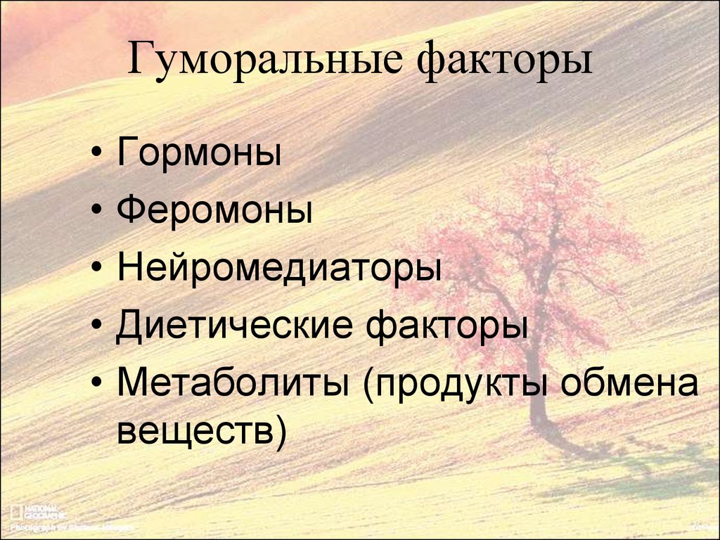 Гуморальные факторы. Диетические факторы. Феромоны это гормоны. Гуморальные факторы биологического барьера.