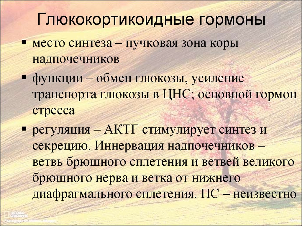 Место синтеза. Глюкокортикоидные гормоны. Глюкокортикоидные гормоны функции. Глюкокортикостероиды гормоны. Глюкокортикоиды функции гормона.