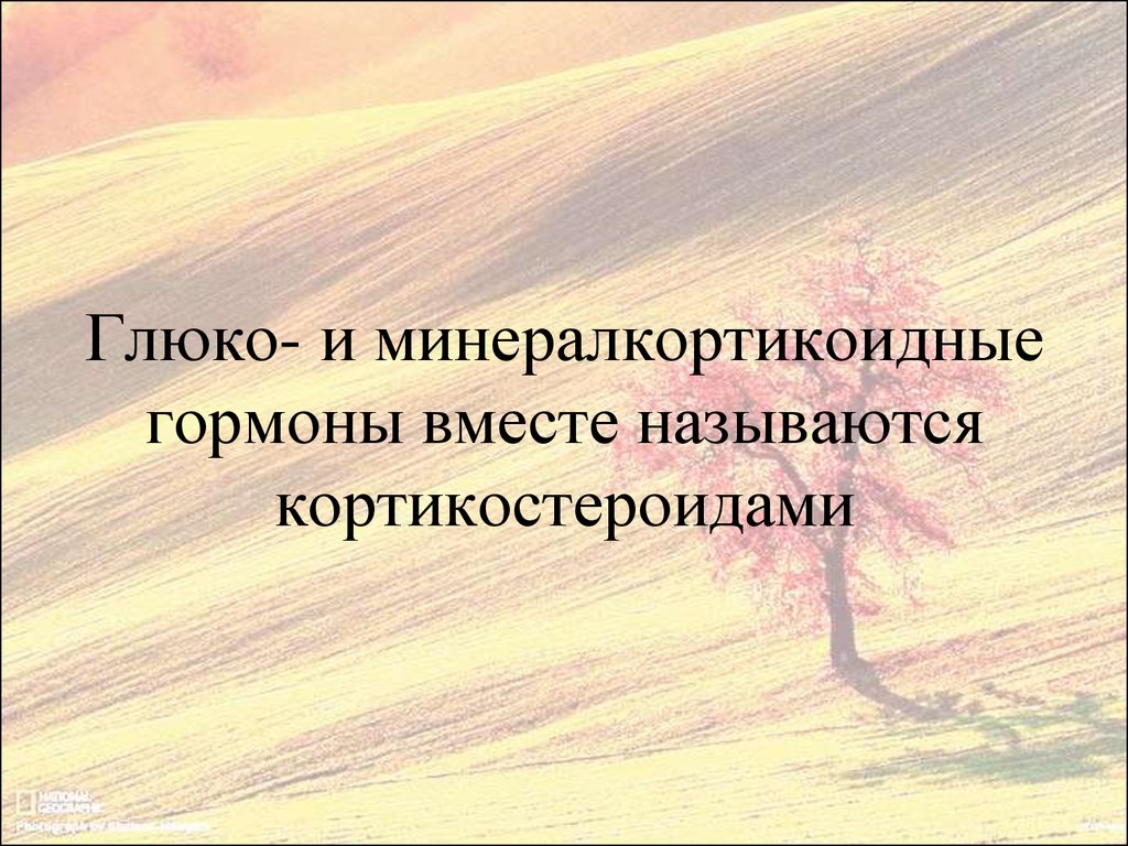 Как назывался одновременно. Вместе называются. Вместе с гормонами.