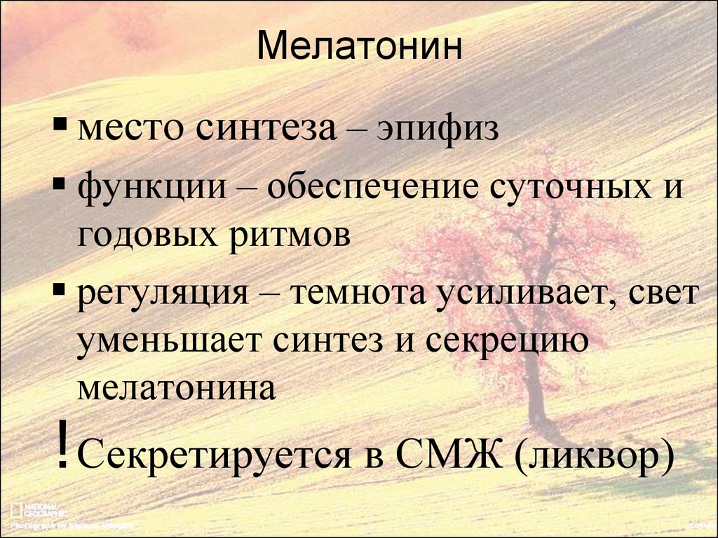 Место синтеза