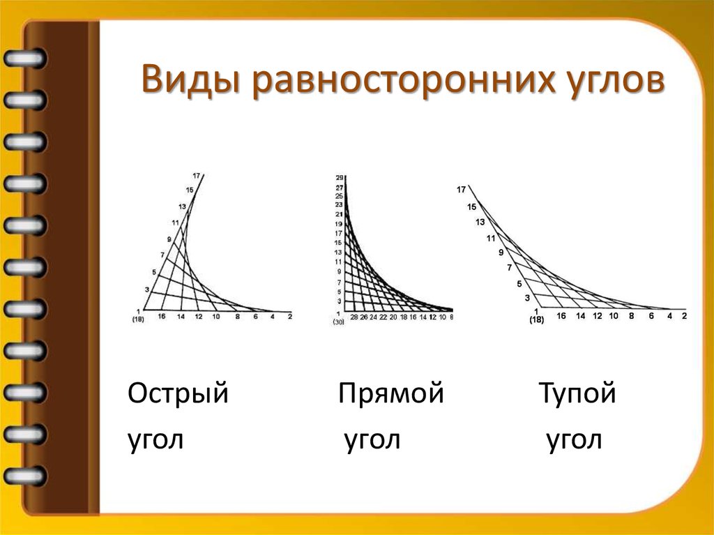 Виды равносторонних углов