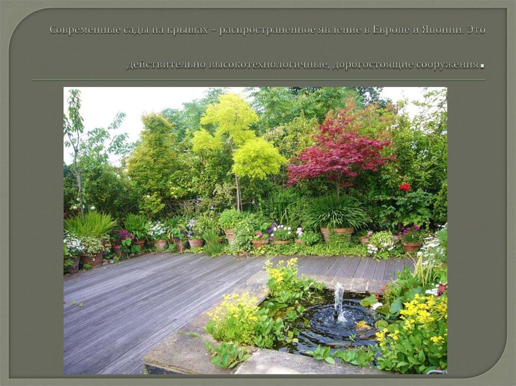 Современные сады на крышах – распространенное явление в Европе и Японии. Это действительно высокотехнологичные, дорогостоящие сооружени