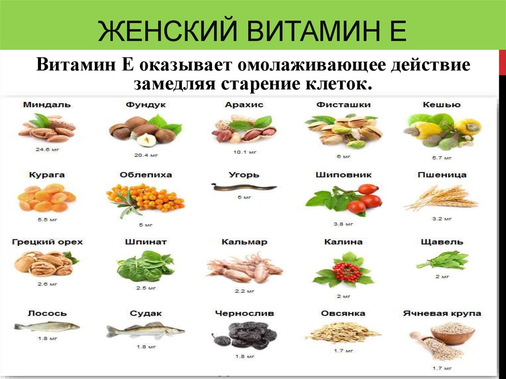 В каких продуктах есть д. Продукты с высоким содержанием витамина е. Содержание витамина е в продуктах питания таблица. Витамины группы е в продуктах питания таблица. Продукты богатые витамином е таблица.