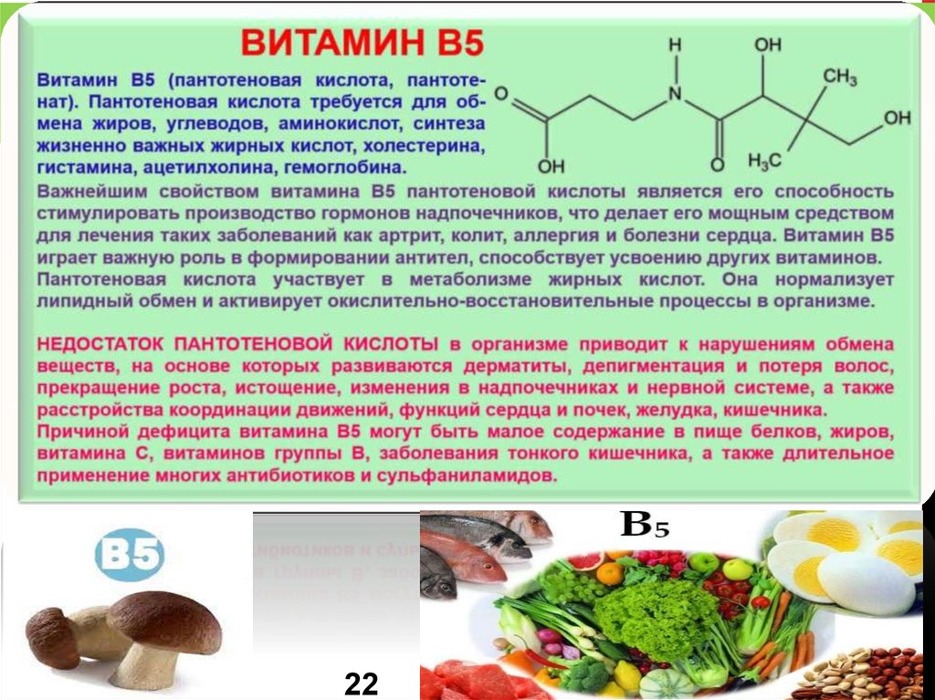 Пантотеновая кислота (витамин b5) в продуктах. Витамины и минералы для презентации. Пантотеновая кислота и организм человека. Витамины и минералы для надпочечников. Другая витаминка