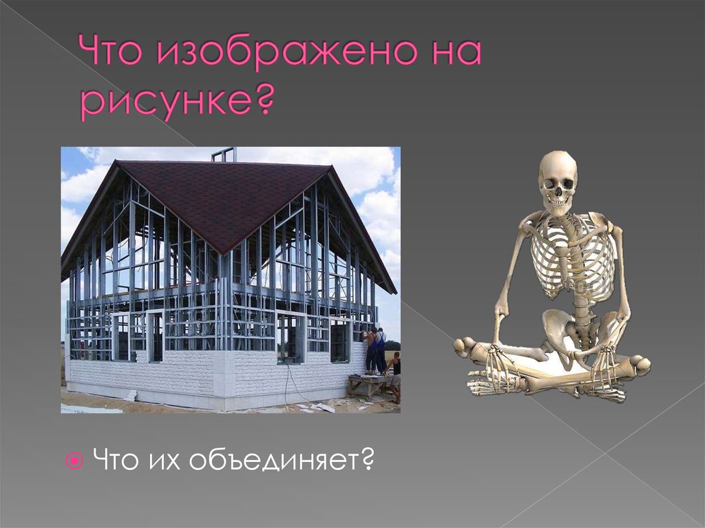 Скелет для презентации. Выводы скелет опора организма. Скелет опора организма 6 класс биология. Конспект по скелет опора организма шестой класс.