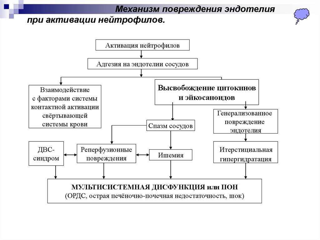 Механизм повреждения. Механизмы активации нейтрофилов. Активация нейтрофилов. Ингибирования активации нейтрофилов.