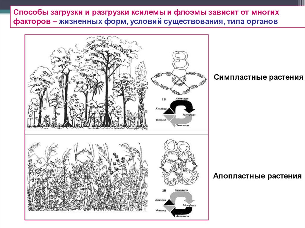 Зависит от многих факторов. Способ загрузки.