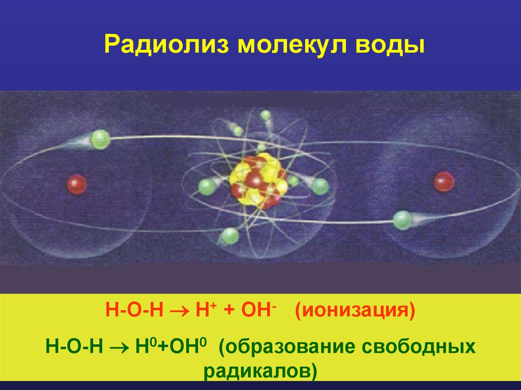 Радиолиз молекул воды