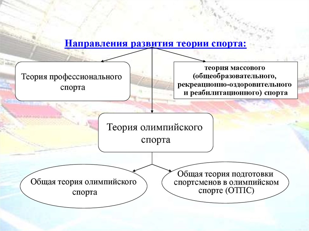 Формирование спорта. Теория спортивной подготовки. Структура теории спорта. Функции теории спорта. Понятия в теории спорта.