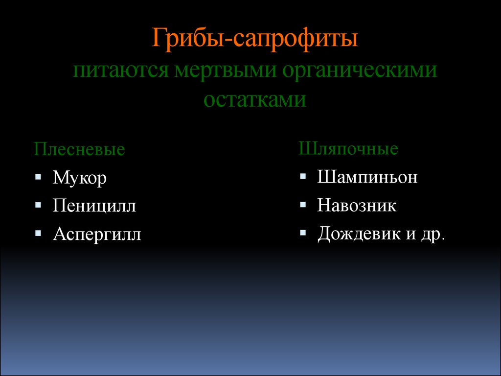 Грибы сапрофиты. Питаются мертвыми органическими остатками. Гриб питается мертвыми органическими остатками. Грибок сапрофит.