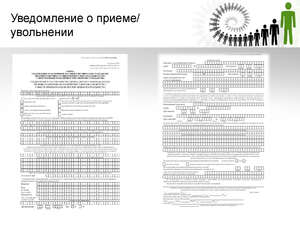 Образец заполнения уведомления о приеме на работу белоруса