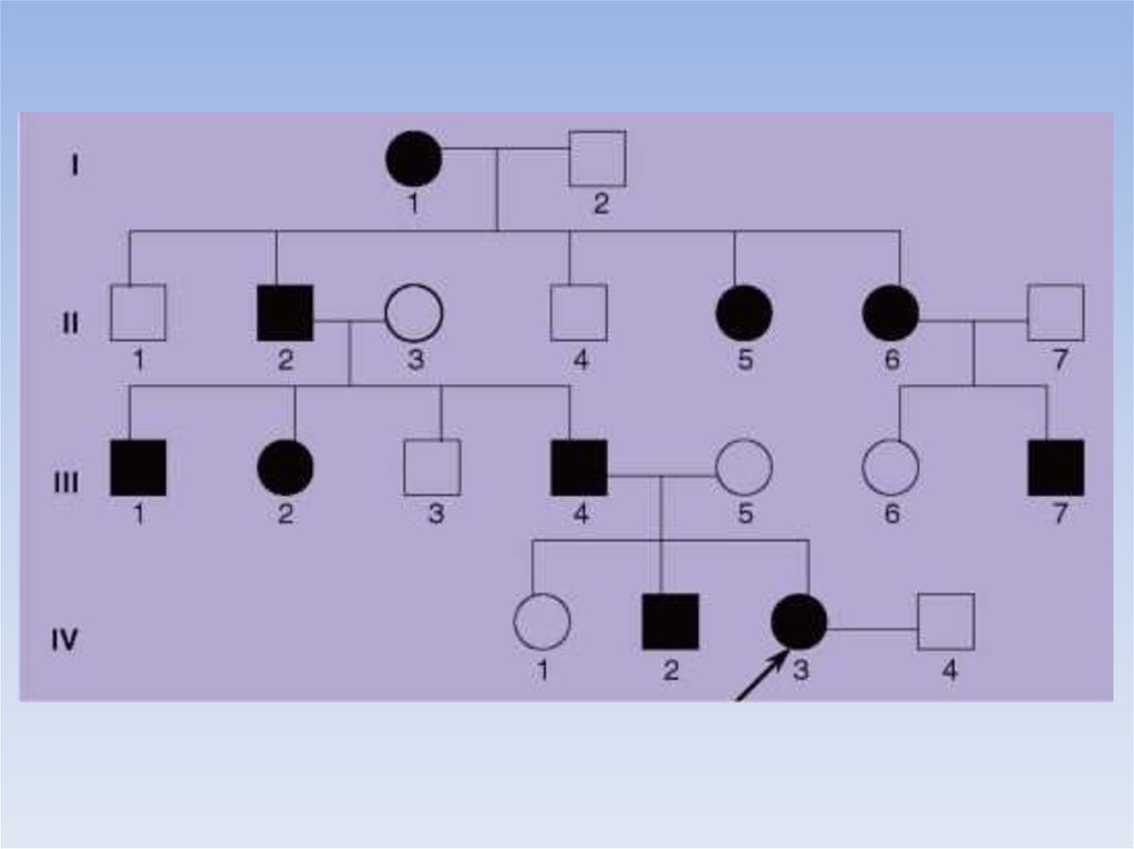 Пробанд страдает ночной слепотой. Родословная здоровой семьи генетика. Родословная семьи пробанд. Родословная семьи с гипертонической болезнью. Родословная по генетике с пробандом.