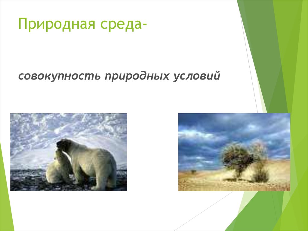 Совокупность природных условий. Природная среда это совокупность условий. Природная среда это совокупность картинка. Совокупность природных условий 5 букв.