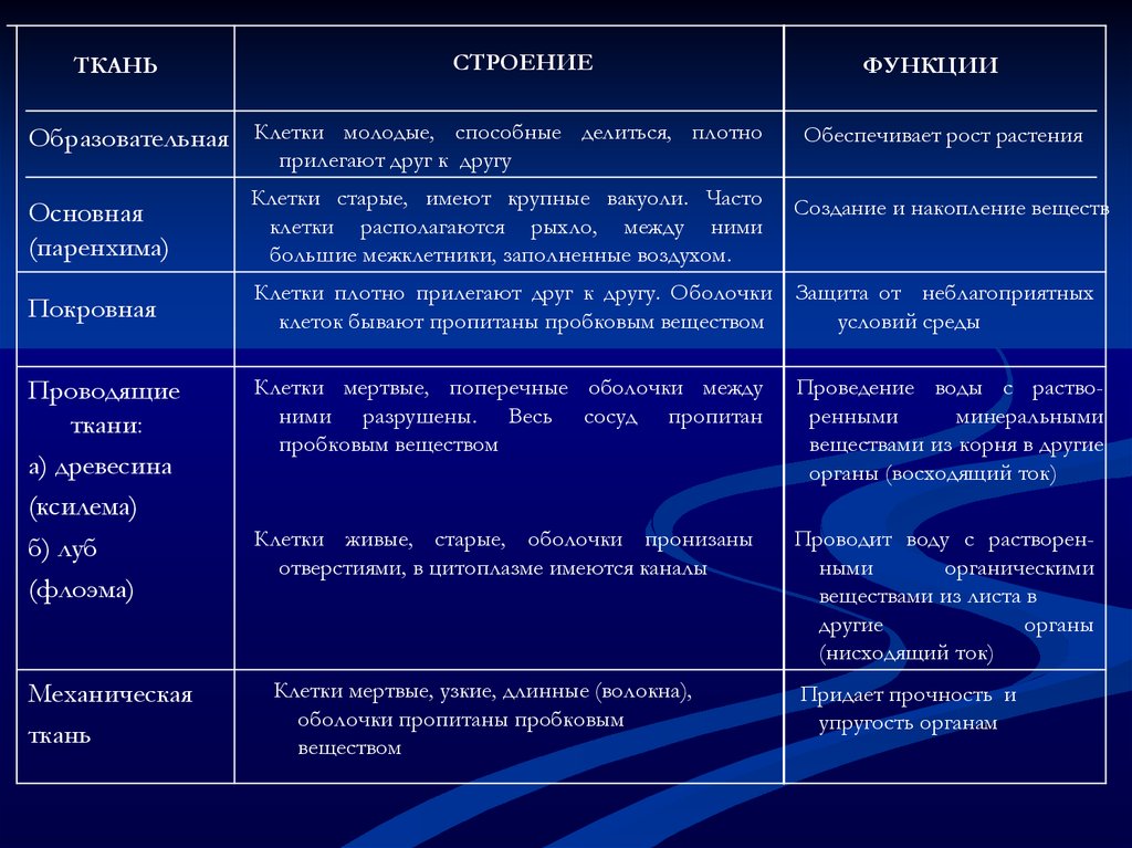 Функции вакуоля. Вакуоль строение и функции таблица. Вакуоли особенности строения и функции таблица. Строение и функции вакуолей. Dfrejkbстроение и функции таблица.