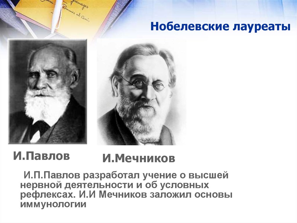 Учение разработал. И.П.Павлов разработал учение. И. П. Павлова и Мечников. Павлов и Мечников. Павлов и Мечников Нобелевская.