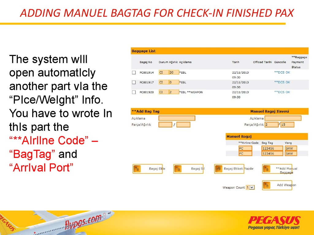 ADDING MANUEL BAGTAG FOR CHECK-IN FINISHED PAX
