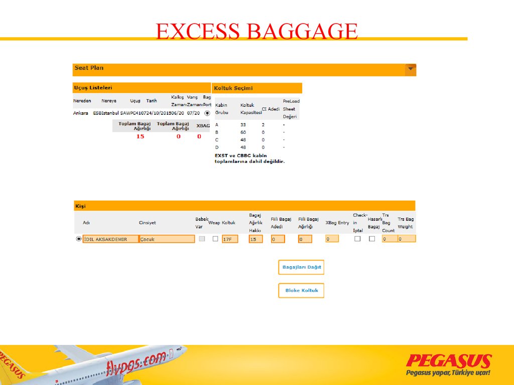 EXCESS BAGGAGE