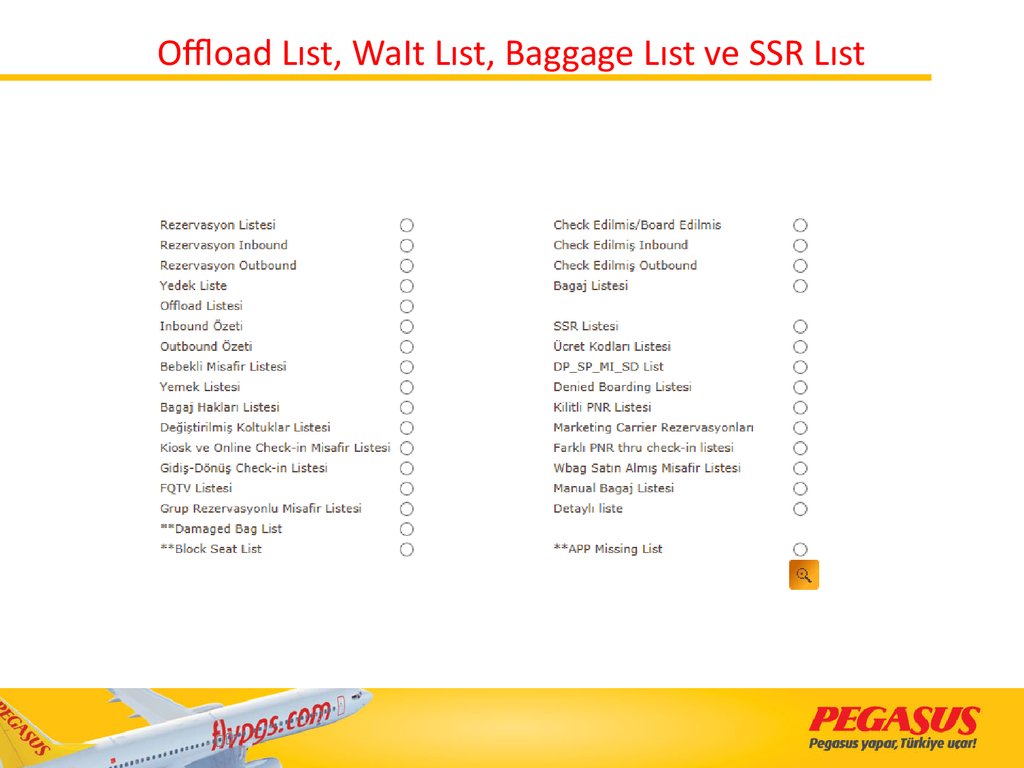 pegasus baggage price