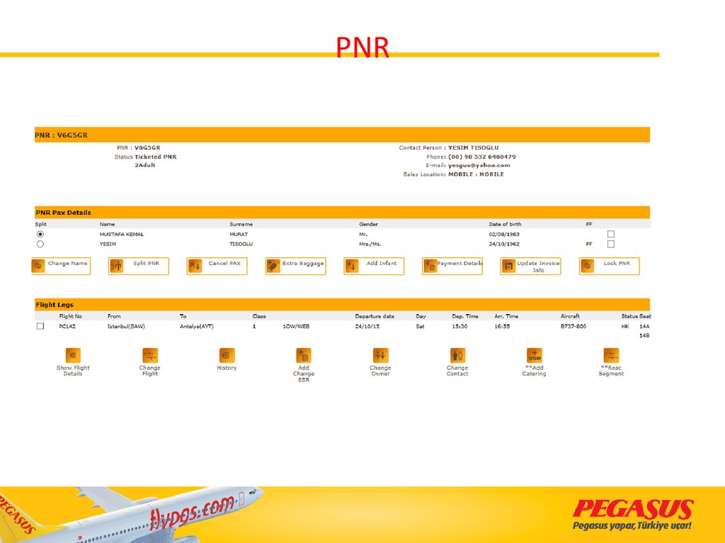 pegasus airlines baggage price