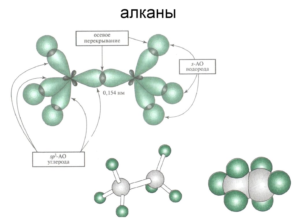 Алкана 13