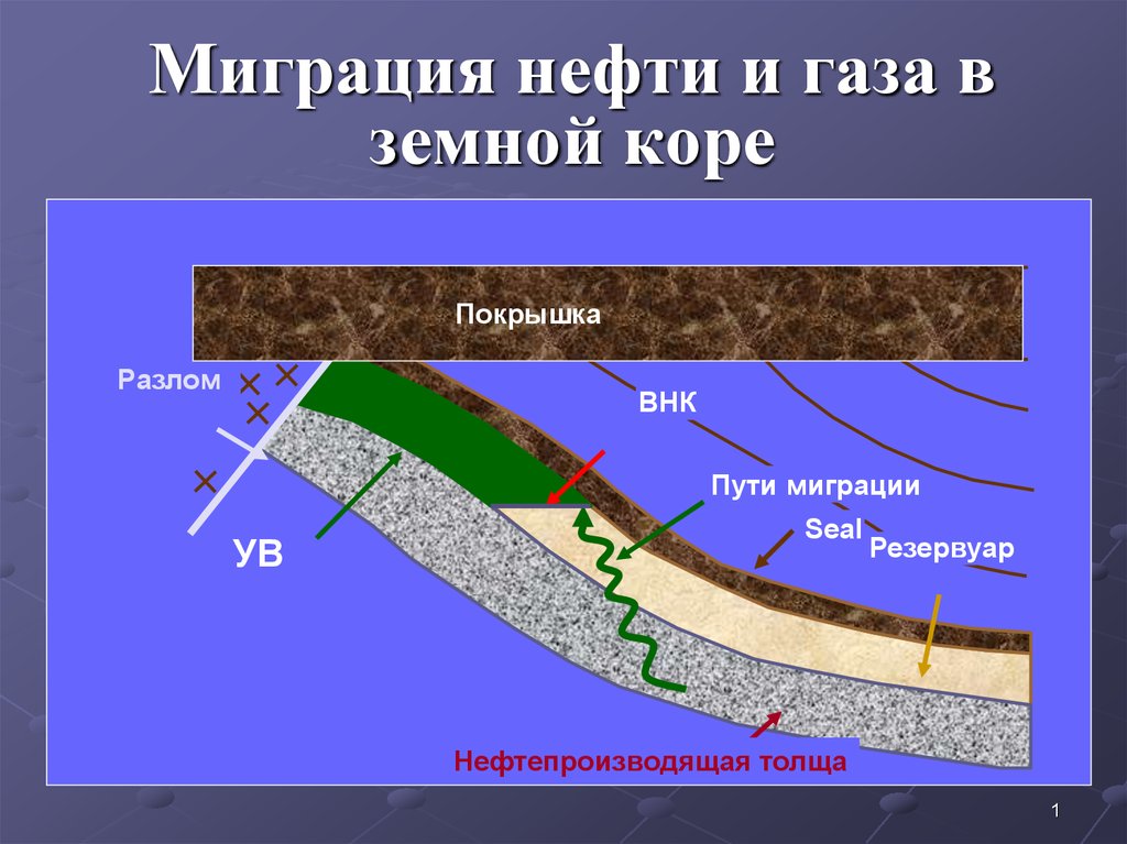 Изгиб в земной коре