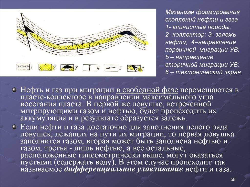 Миграция ув