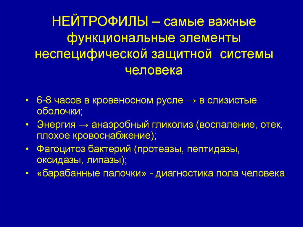 НЕЙТРОФИЛЫ – самые важные функциональные элементы неспецифической защитной системы человека