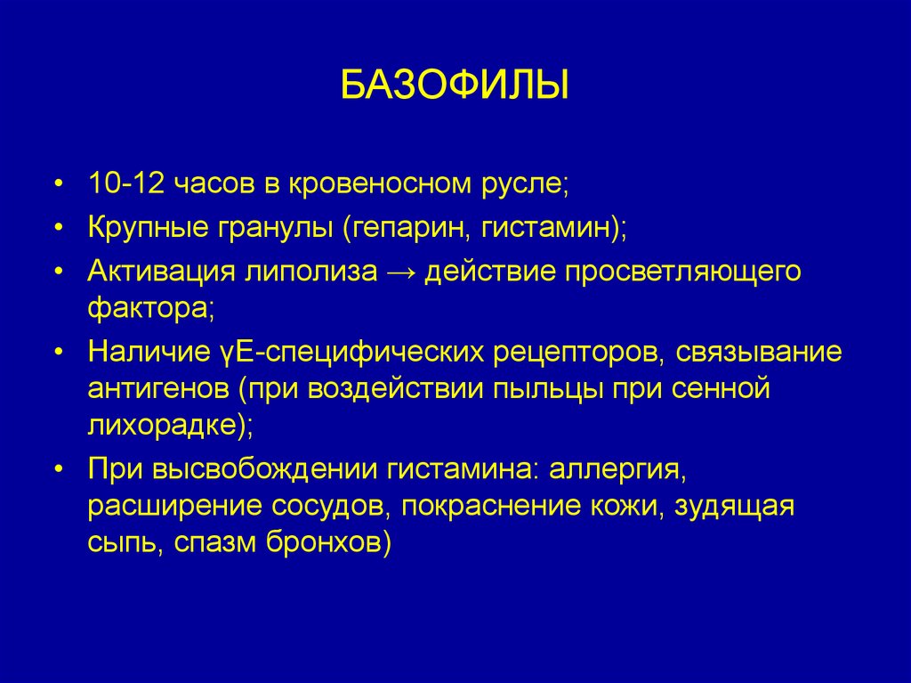 БАЗОФИЛЫ