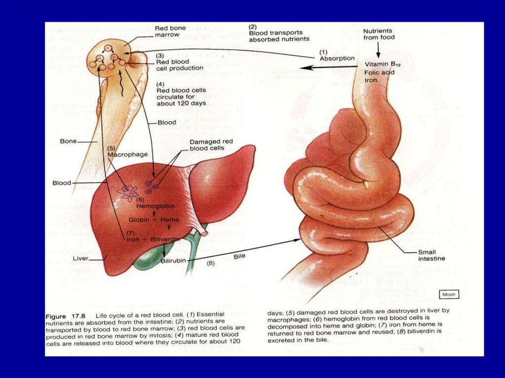 Фотоальбом