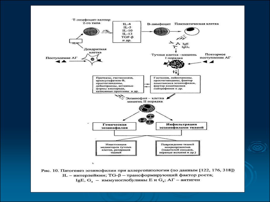 Механизм развития лейкопении. Механизм развития эозинофилии. Эозинофилия патогенез. Эозинофилия механизм развития. Патогенез эозинофилии.