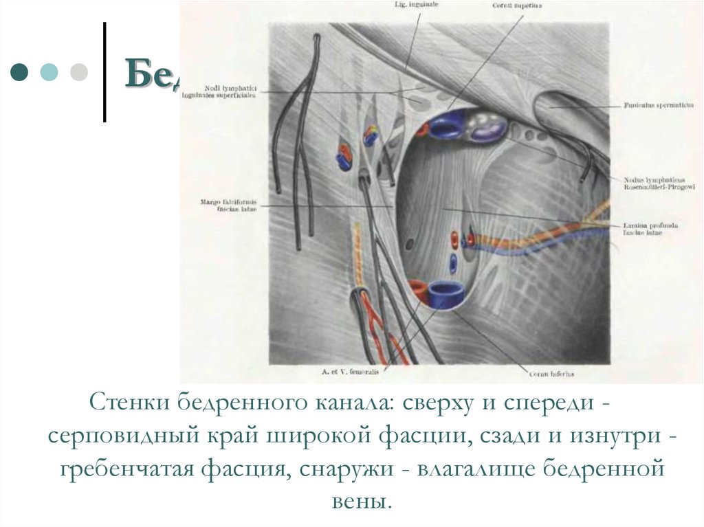 Бедренный канал схема