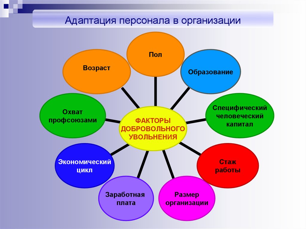 Адаптированная организация. Адаптация персонала. Адаптация персонала в организации. Организационная адаптация персонала. Типы адаптации персонала.