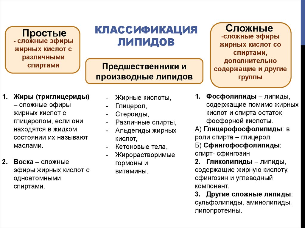 Липиды бывают. Классификация жиров простые и сложные. Липиды производные мирные кислоты. Основные виды липидов. Основные классы липидов.