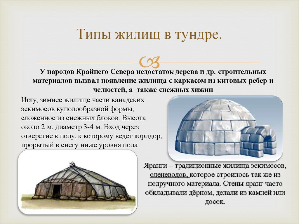 Жилища народов. Тип жилища. Тип жилища в тундре. Типы жилищ народов в России иглу. Иглу это зимнее жилище.