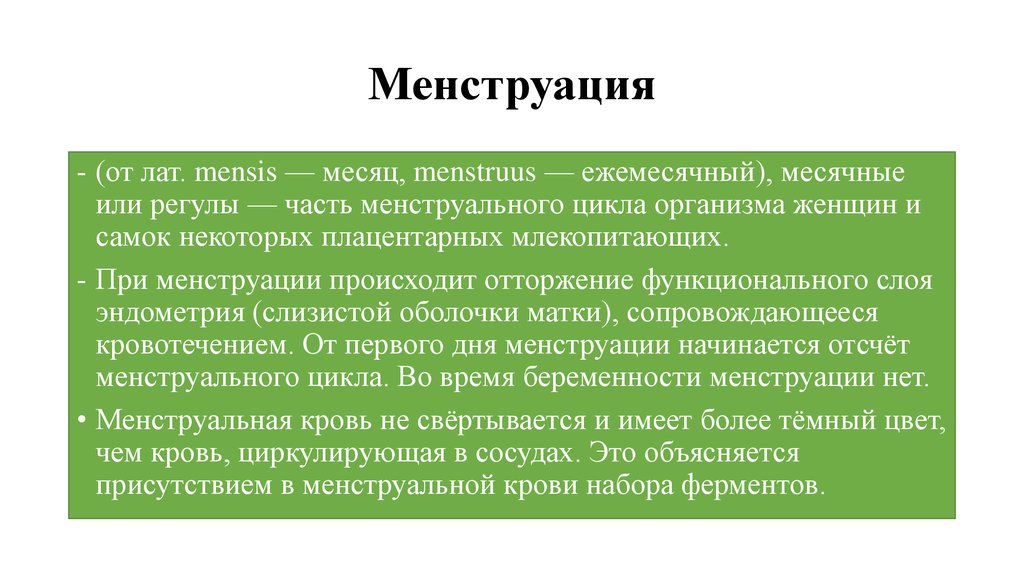 Менструация