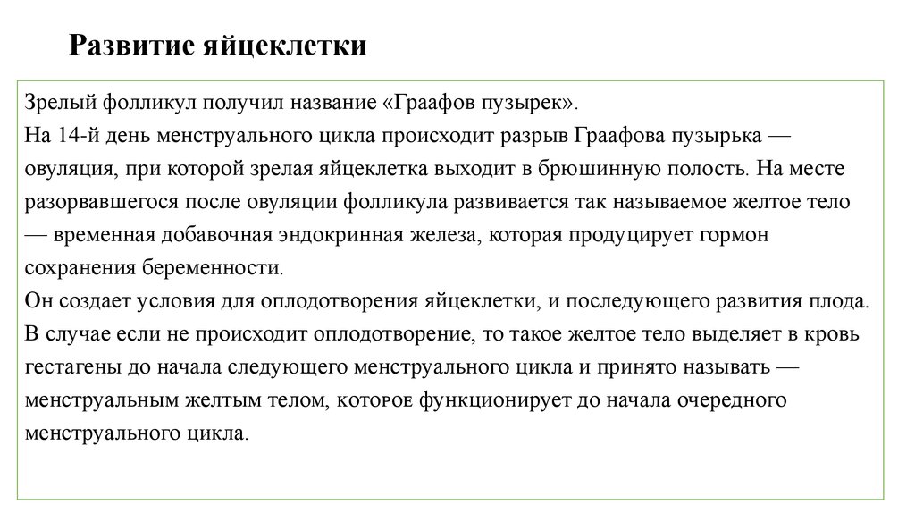 Развитие яйцеклетки