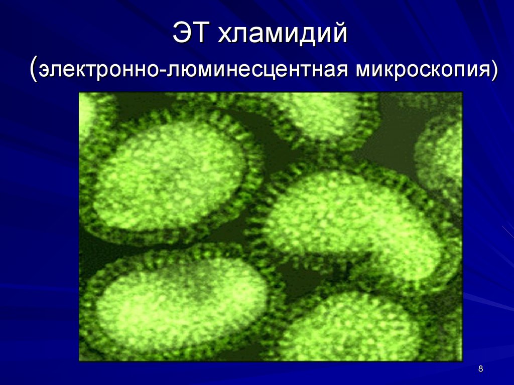 Хламидия 5. Возбудитель парагриппа микробиология. Хламидии люминесцентная микроскопия. Вирус гриппа и парагриппа.