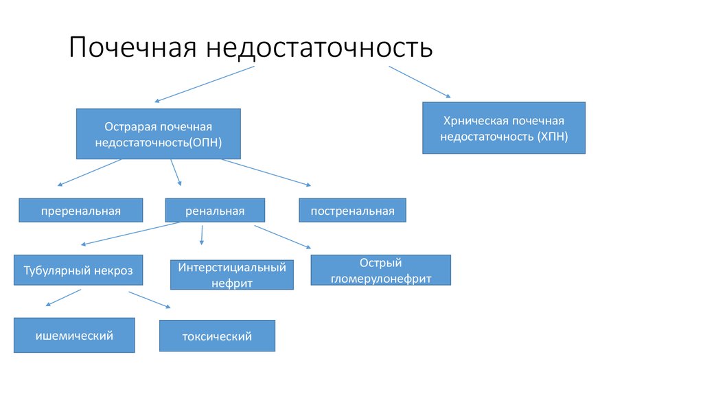 Острая почечная недостаточность профилактика кратко