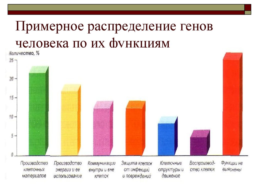 Какова гена. Примерное распределение генов человека по их функциям. Сколько генов у человека. 'Голько генов у человека. Сколько генов у человека в ДНК.