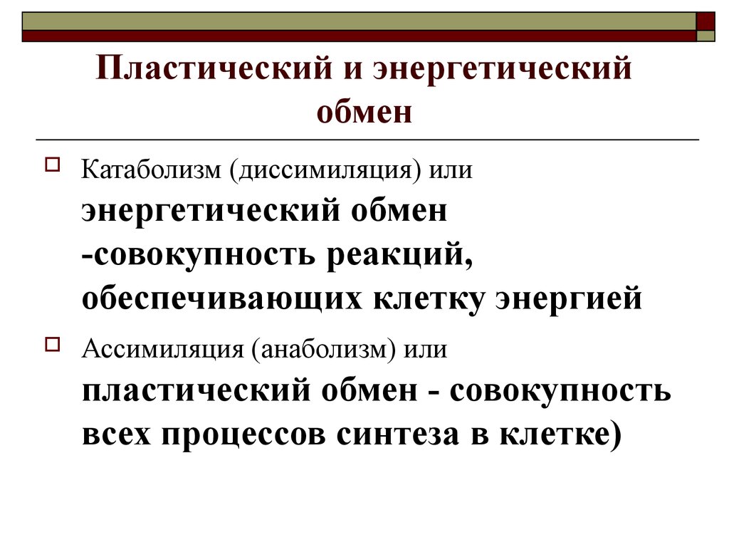 Реакции пластического обмена