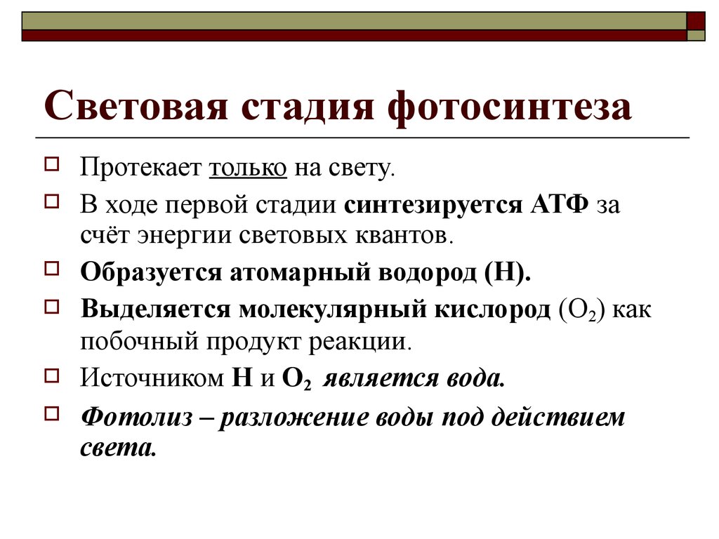 Световая фаза протекает. Молекулярный кислород образуется. Депонирует молекулярный кислород. Образуется побочный продукт кислород. Световая стадия 1 этап.