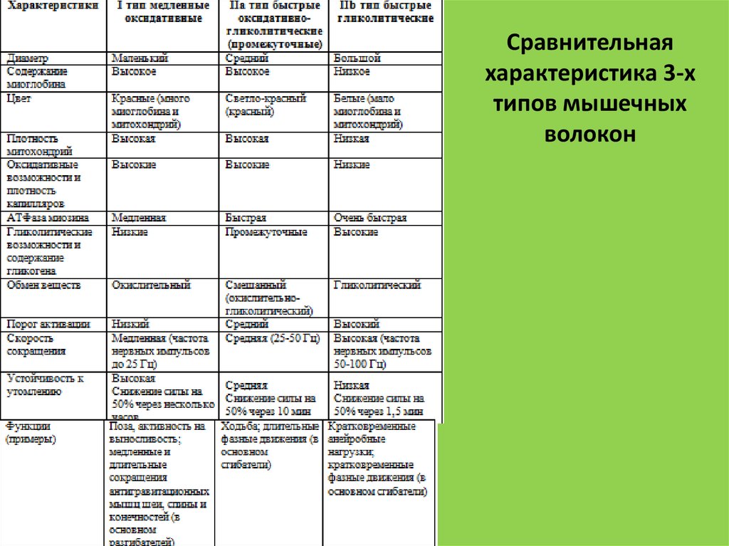 Сравнительная характеристика типов. Сравнительная таблица мышечной ткани. Функциональное Разделение мышц таблица. Сравнительная характеристика типов мышц. Таблица сравнительная характеристика разных видов мышечной ткани.