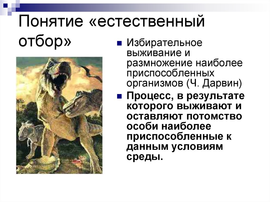 Появление особей. Понятие естественного отбора. Теория Дарвина естественный отбор. Естественный отбор это процесс. Естественный отбор термин.