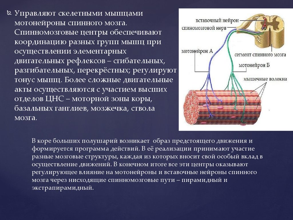 Система движения