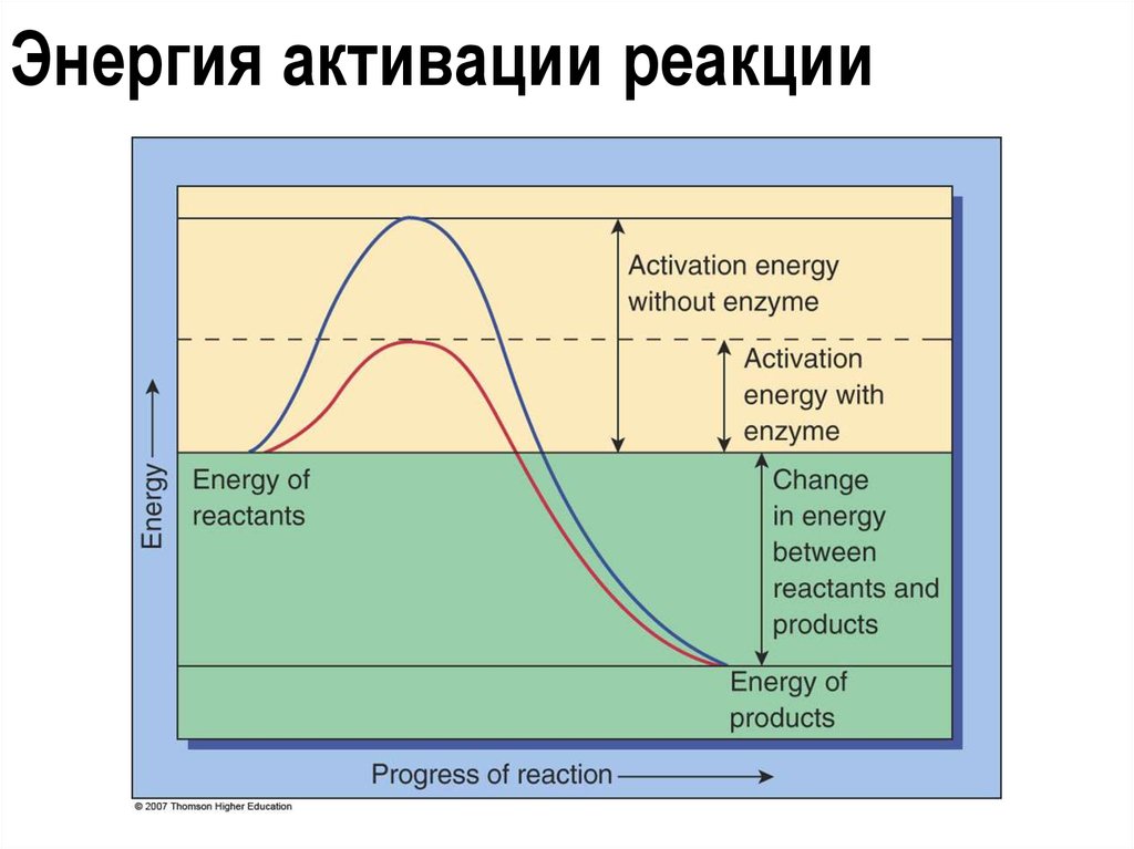 Определить энергию активации реакции. 1. Энергия активации реакции.. Понятие об энергии активации реакций. Как посчитать энергию активации реакции. Понятие энергии активации химических реакций.