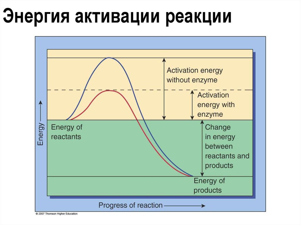 Скорость активации реакции. Понятие об энергии активации. Энергия активации реакции. Энергия активации химической реакции. Энергия активации график.