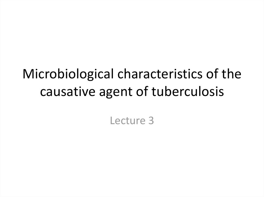 Microbiological characteristics of the causative agent of tuberculosis