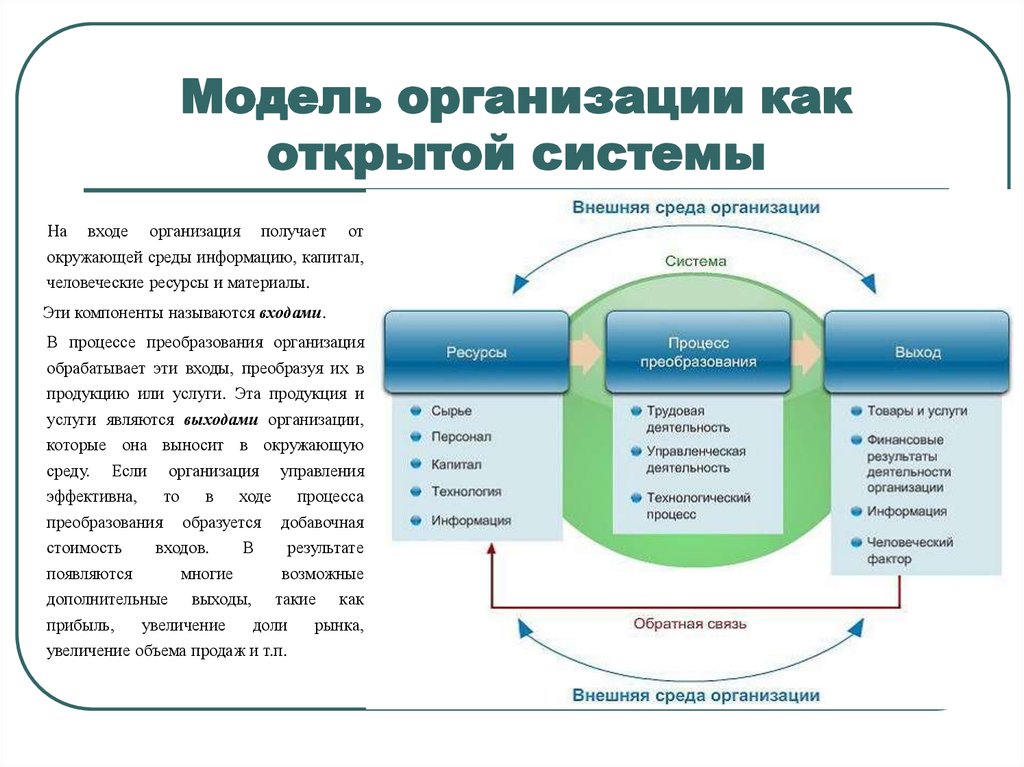 Модель организации как открытой системы