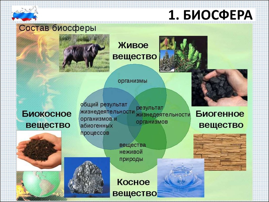 Понятие о природном организме 5 класс. Структура биосферы. Структурные части биосферы. Продукты жизнедеятельности биосферы. Примеры компонентов биосферы.